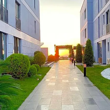 Hills Gokcedere